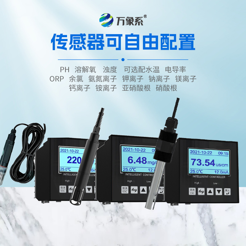 在線溶解氧檢測儀