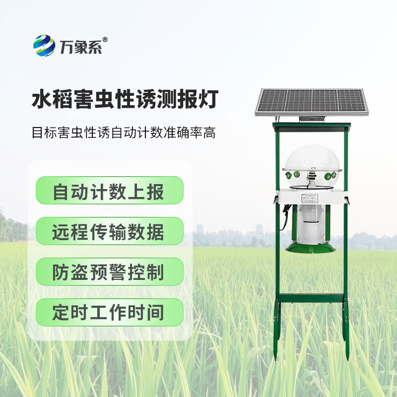 水稻田害蟲性誘智能監測系統